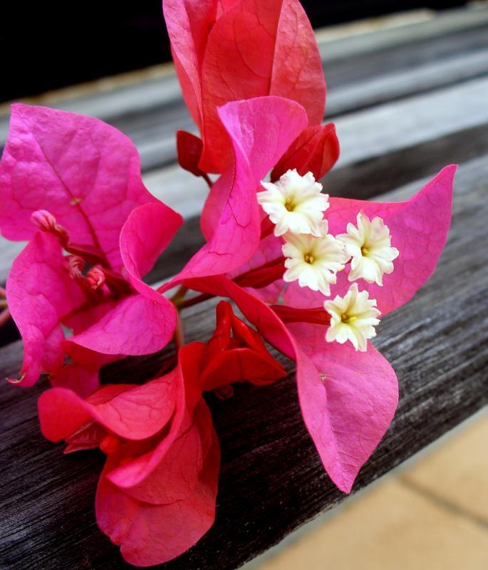 post-231841-0-62447100-1452396587_thumb.