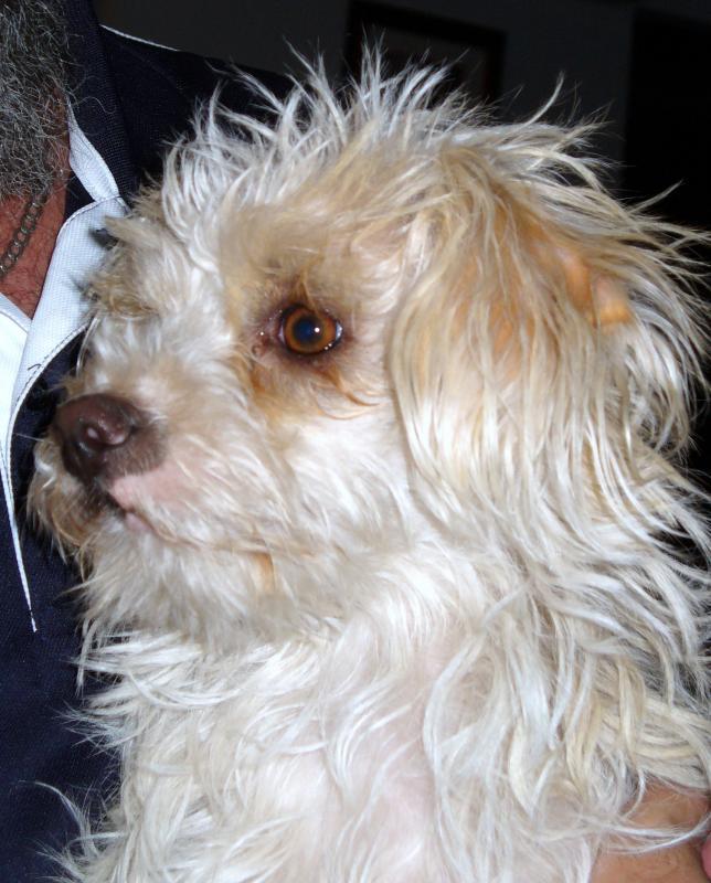 post-231841-0-65412200-1453024541_thumb.