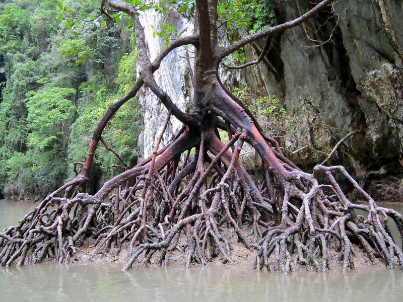 post-231841-0-79881200-1451737537_thumb.