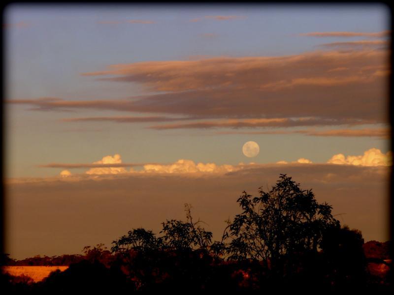 post-231841-0-84837200-1453557266_thumb.