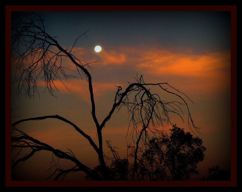 post-231841-0-85108900-1453557324_thumb.