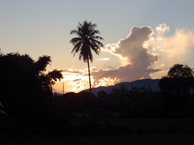 post-232120-0-17301900-1453797249_thumb.