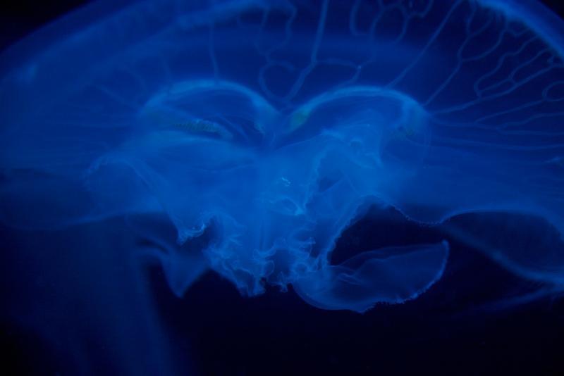 post-243147-0-06463600-1453383172_thumb.