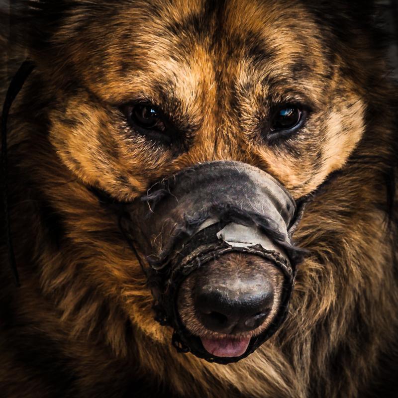 post-250542-0-96178100-1452783449_thumb.