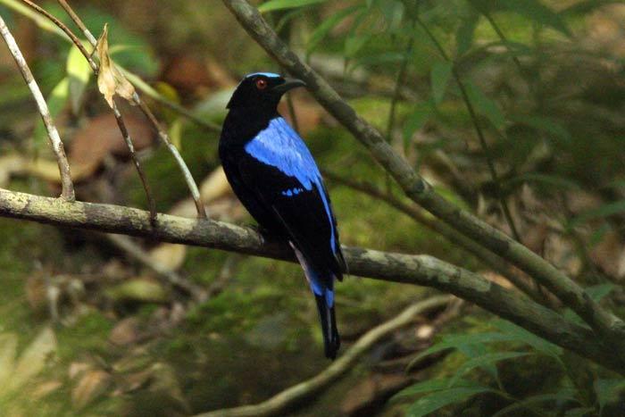 post-25665-0-02502200-1453958932_thumb.j