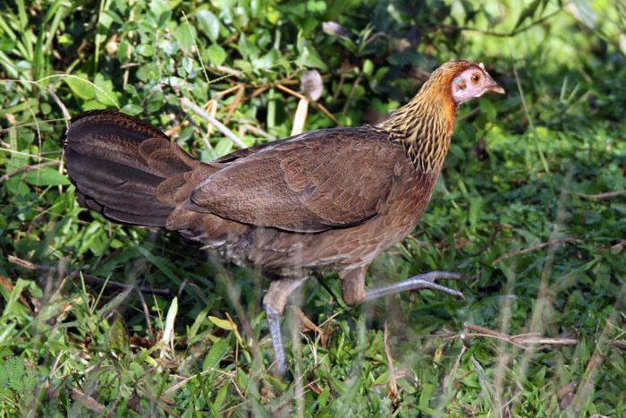 post-25665-0-13521300-1453959007_thumb.j