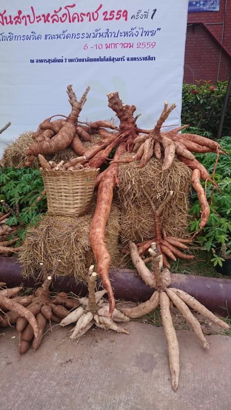 post-37242-0-27530300-1452265820_thumb.j