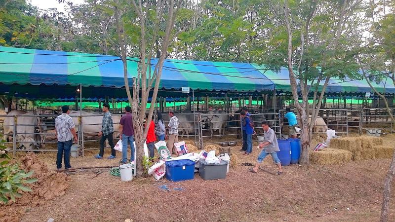 post-37242-0-43712700-1452182734_thumb.j