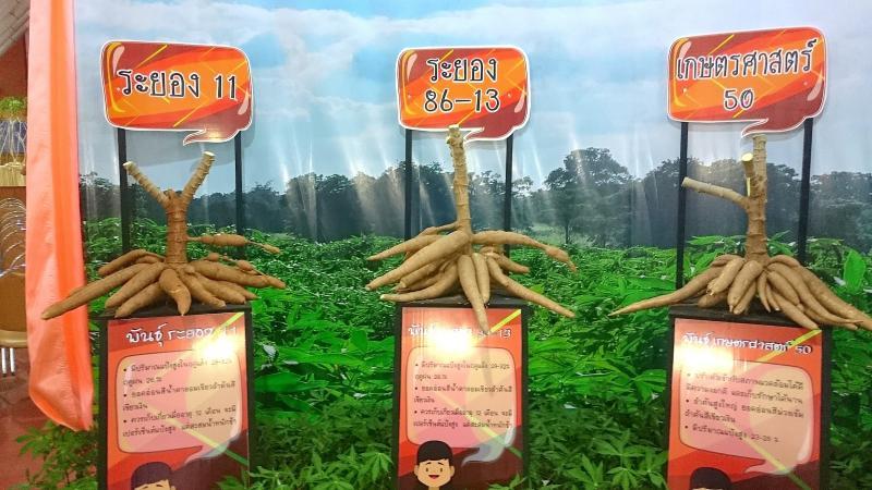 post-37242-0-47945100-1452182620_thumb.j