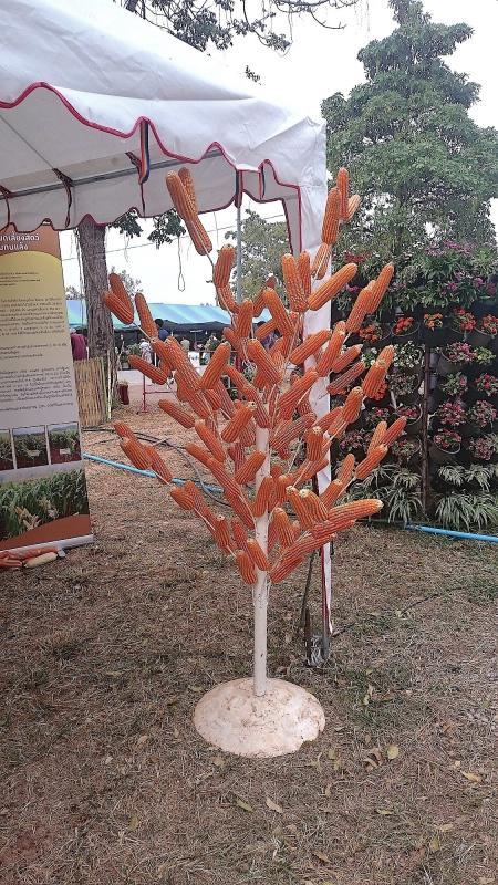 post-37242-0-62894500-1452183183_thumb.j