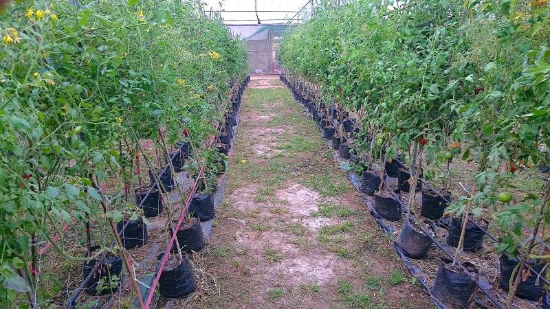 post-37242-0-77152300-1452182710_thumb.j