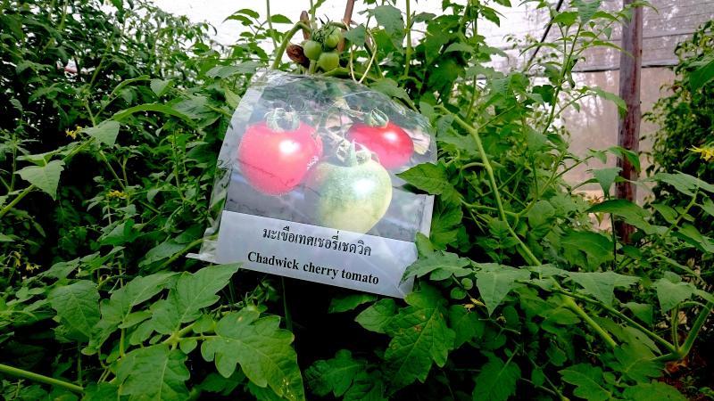 post-37242-0-87962700-1452182813_thumb.j