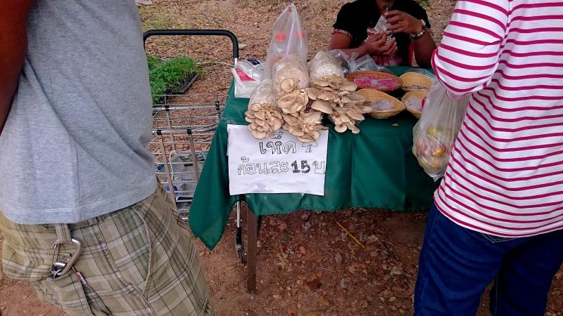 post-37242-0-90261700-1452266152_thumb.j