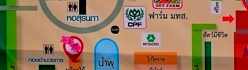 post-37242-0-91586400-1452346397_thumb.p