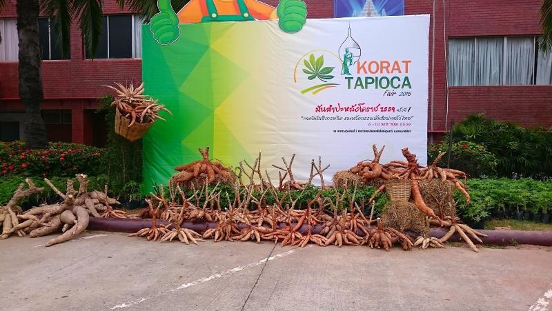 post-37242-0-97041400-1452182209_thumb.j