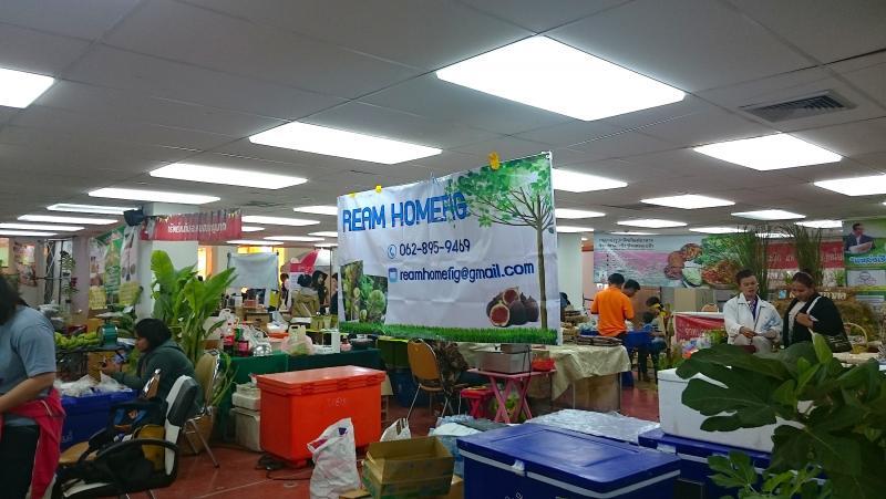 post-37242-0-99253500-1452266208_thumb.j