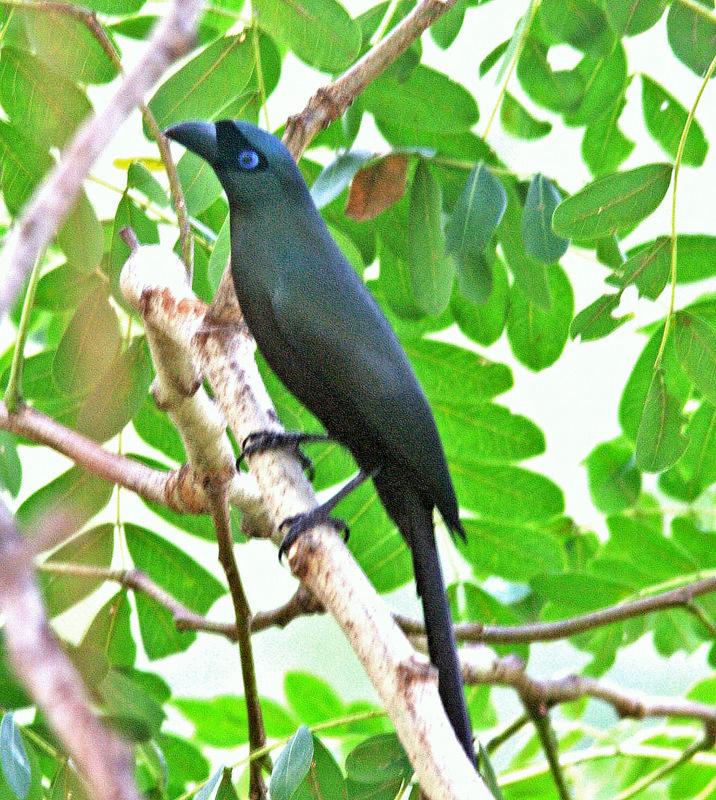 post-59731-0-53331700-1452332139_thumb.j