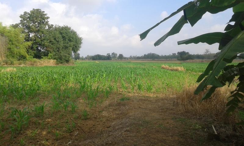 post-63954-0-53775500-1453416262_thumb.j