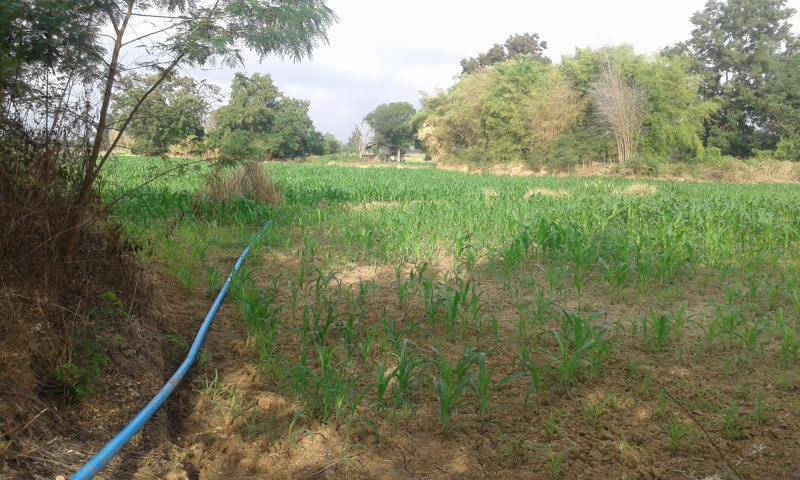 post-63954-0-71145400-1453416097_thumb.j