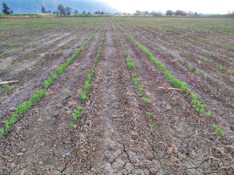 post-68260-0-74046700-1451692407_thumb.j