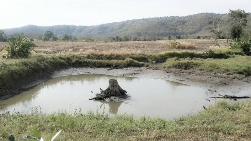 post-68260-0-74797100-1453032658_thumb.j