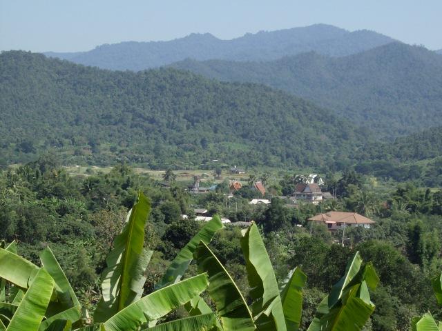 post-87058-0-30908400-1451739732_thumb.j