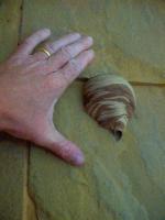 post-33112-1171365667_thumb.jpg