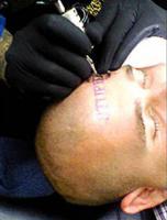 post-27219-1202478570_thumb.jpg
