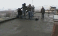 post-21826-1267103318_thumb.png