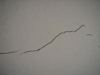post-28278-1266376029_thumb.jpg