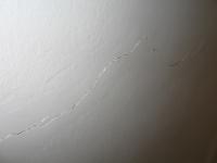 post-28278-1266376113_thumb.jpg