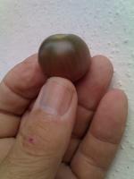post-37242-1266431478_thumb.jpg