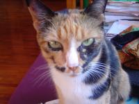 post-25601-0-65497500-1297218170_thumb.j