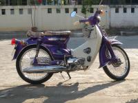 post-49205-0-78115200-1297590127_thumb.j