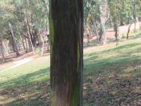 post-94255-0-55036700-1298905648_thumb.j