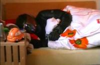 post-108449-0-55322800-1329802737_thumb.