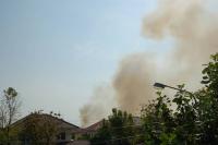 post-148544-0-54648900-1330506519_thumb.