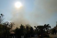 post-148544-0-78768500-1330506525_thumb.