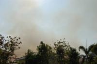 post-148544-0-83265700-1330506522_thumb.