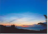 post-22415-0-11604800-1329039865_thumb.j