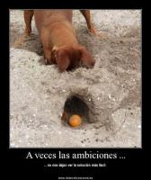 post-41194-0-36128100-1329922102_thumb.j