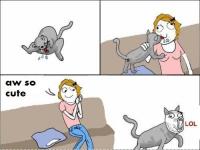 post-46648-0-05572900-1330314287_thumb.j