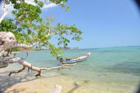 post-69255-0-64152000-1330281402_thumb.j