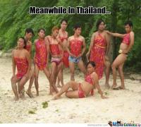 post-1041-0-12906400-1359747788_thumb.jp