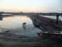 post-104736-0-00561000-1360961848_thumb.