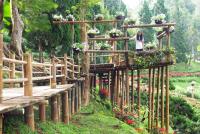 post-104736-0-04209500-1361618404_thumb.