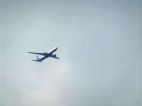 post-104736-0-11816000-1360630192_thumb.