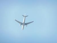 post-104736-0-12547200-1361053707_thumb.