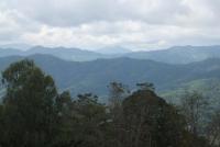 post-104736-0-16945200-1361617532_thumb.