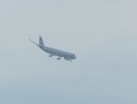 post-104736-0-18565600-1361053632_thumb.